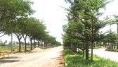 HCMC strives for per capita housing area of 19.8 sq.m by 2020 HCMC strives for per capita housing area of 19.8 sq.m by 2020