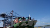 Vinalines to auction over 280 million shares in August Vinalines to auction over 280 million shares in August