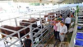HCM City's leader urges higher status for agriculture HCM City's leader urges higher status for agriculture