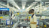 Nhu cầu khuôn mẫu rất lớn