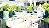 Hệ thống kiểm soát cá da trơn của Việt Nam tương đương với Hoa Kỳ