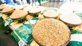 前5月柬埔寨向近 70 個國家出口大米。(示意圖源:互聯網)