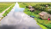 Hoàn trả tiền sử dụng đất cho người trồng rừng