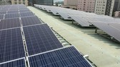 EVN mua gần 2.300MW điện mặt trời của nhà đầu tư