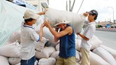 Workers transport rice bags to a milling plant in the Mekong Delta (Photo: SGGP)