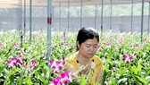 Nhân lực cho nông nghiệp công nghệ cao Nhân lực cho nông nghiệp công nghệ cao