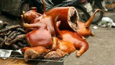 Một thói quen cần từ bỏ