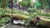 Bão Bebinca sẽ gây mưa lớn ở Trung Lào, lũ sông Cửu Long lên 4m