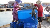 Niềm vui từ xã đảo Long Sơn