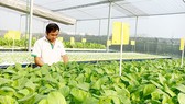 Khởi nghiệp nông nghiệp công nghệ cao là xu thế, nhưng có tính phong trào