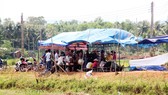 Người dân phản đối điện mặt trời đã trở về nhà