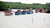 Khai thác thủy hải sản gắn liền với bảo tồn biển