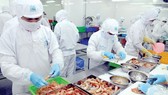 Tăng tốc cải cách