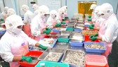 Lạc quan với thị trường xuất khẩu cuối năm