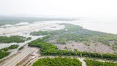 Thu hồi dự án Cảng CMH chưa đúng quy định Thu hồi dự án Cảng CMH chưa đúng quy định