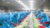VHC hết dư địa tăng VHC hết dư địa tăng