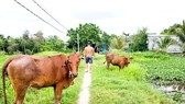 Hai điểm nghẽn cần tháo gỡ Hai điểm nghẽn cần tháo gỡ