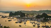 Đặc khu kinh tế Việt Nam làm gì để vượt trội? Đặc khu kinh tế Việt Nam làm gì để vượt trội?