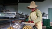 Xây dựng thương hiệu nhãn xuồng “Made in Bà Rịa-Vũng Tàu” Xây dựng thương hiệu nhãn xuồng “Made in Bà Rịa-Vũng Tàu”