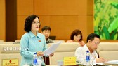 Dừng xây dựng Luật Hành chính công