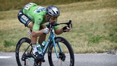 Peter Sagan trên đường đua