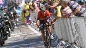 Các khán giả tìm cách tiếp cận Nibali trên đường đua