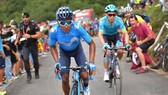 Nairo Quintana không sợ chỉ trích...