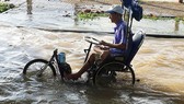 Ngày thứ 5 liên tiếp triều cường tràn ngập nhiều tuyến đường ở Cần Thơ