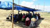 Dân tụ tập, chặn xe dịch vụ chở đoàn công binh đi rà phá bom mìn cho dự án điện mặt trời