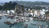 A view of Cai Bau island, a central island of Van Don (Photo: VNA)