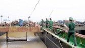 Border guards seize illicitly exploited sand (Photo: SGGP)