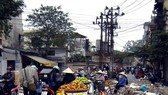 Street vendors sell fruits and vegetables at a ’makeshift’ market on Dong Tac Street, Dong Da district (Photo: VNA/VNS)