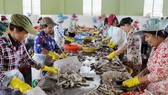 Project helps SMEs in Tra Vinh improve environmental knowledge