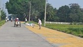 Harsh penalties against those drying rice straw in roads