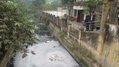 Wastewater from some firms has contaminated Hung Yen’s river and canal systems