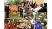Over $8 billion loan for poor households, top social welfare beneficiaries