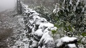 Frost and hoarfrost are expected to appear in the country's highest peak
