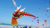 The sixth art kite festival in Ba Ria-Vung Tau province