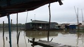 Prolonged excessive rainfall triggers floods