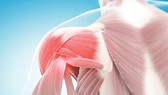 Đau khớp vai và những lầm tưởng nguy hại
