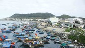 Quảng Ngãi đề xuất xây dựng mức thu phí tham quan đảo Lý Sơn Quảng Ngãi đề xuất xây dựng mức thu phí tham quan đảo Lý Sơn