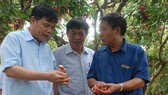 Minister of Agriculture and Rural Development Nguyen Xuan Cuong (L) arrives in Luc Ngan district, Bac Giang province to promote the consumption of lychee.