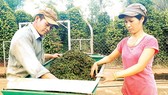 Hồ tiêu giá thấp, khó phục hồi trong ngắn hạn