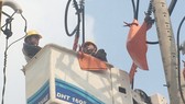Đảm bảo nguồn điện ổn định dịp tết