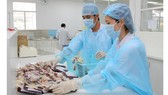 Ngân hàng máu đạt chuẩn GMP: Người bệnh hưởng lợi