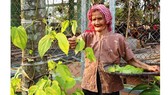 Mẹ tôi
