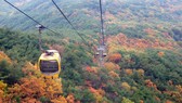Núi Palgongsan, ở thành phố Daegu. Ảnh: KTO