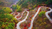 Hàn Quốc tổ chức Tuần lễ chào đón khách du lịch Việt Nam