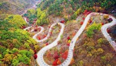 Hàn Quốc tổ chức Tuần lễ chào đón khách du lịch Việt Nam