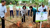 Hơn 100.000 cây xanh được trồng tại Bắc Kạn